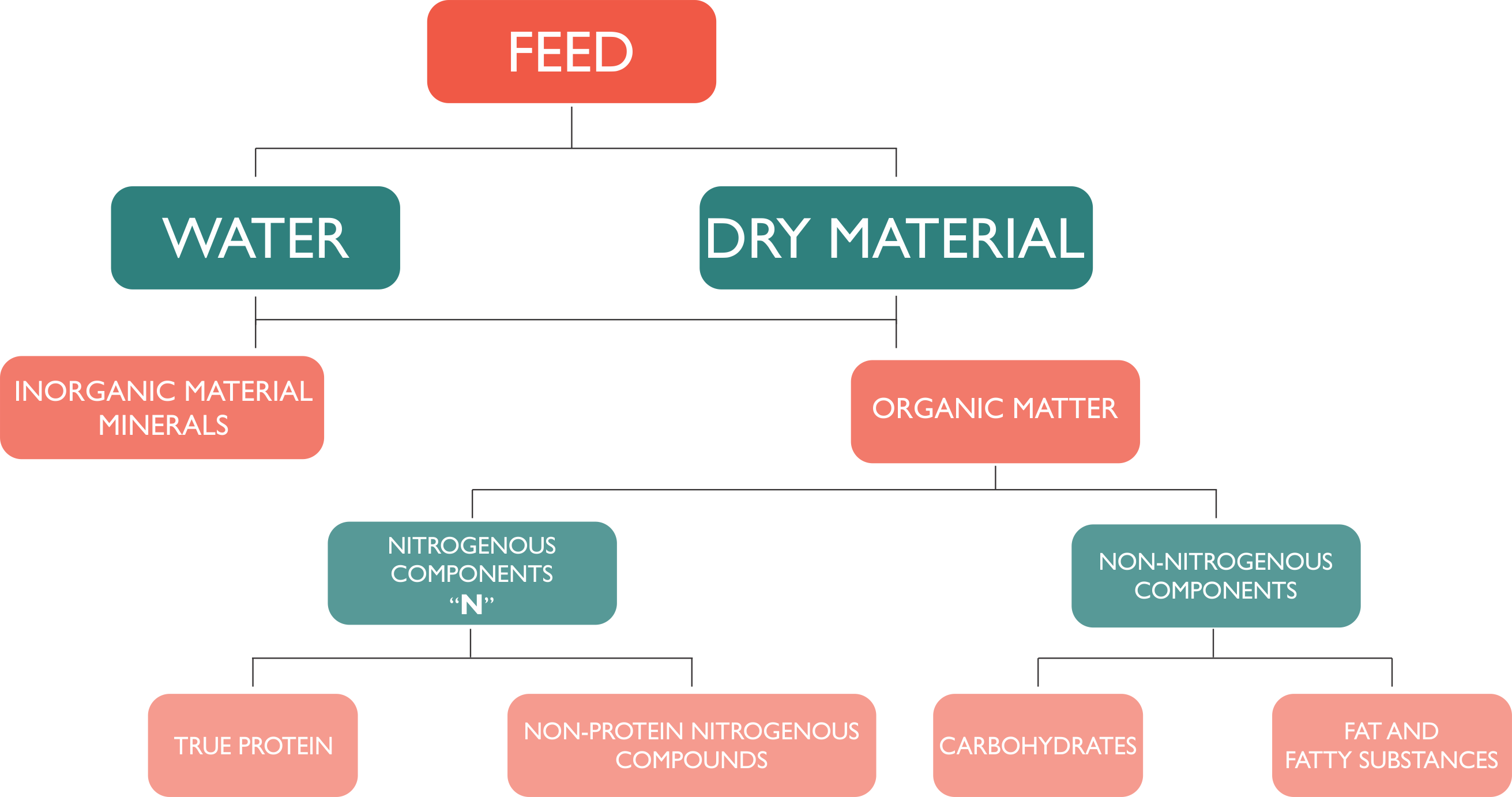 CB7004 Composition Of Animal Feed Stride